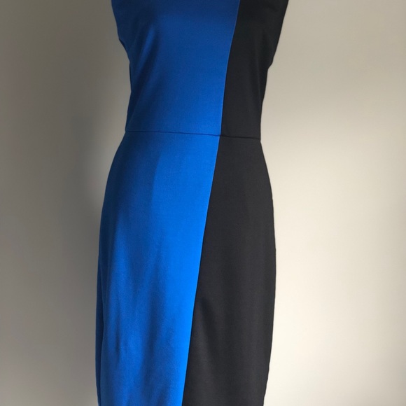 Sheath Dress - Picture 5 of 5